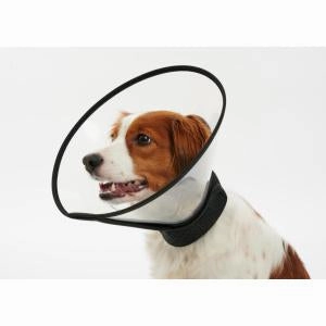 Buster Complete Dog Collar dog supplements,home vitamins