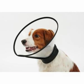 Buster Complete Dog Collar dog supplements,home vitamins