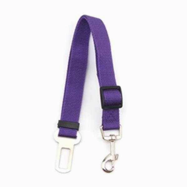 Car Seat Belt Attachment