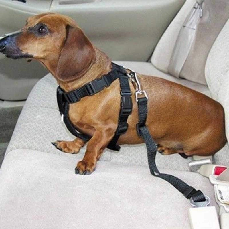 Car Seat Belt Attachment