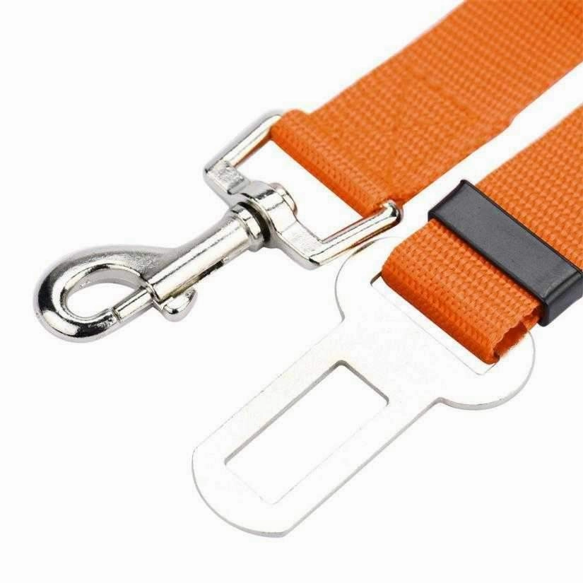 Car Seat Belt Attachment