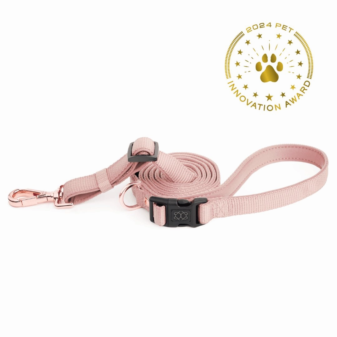 City Dog Leash Blush