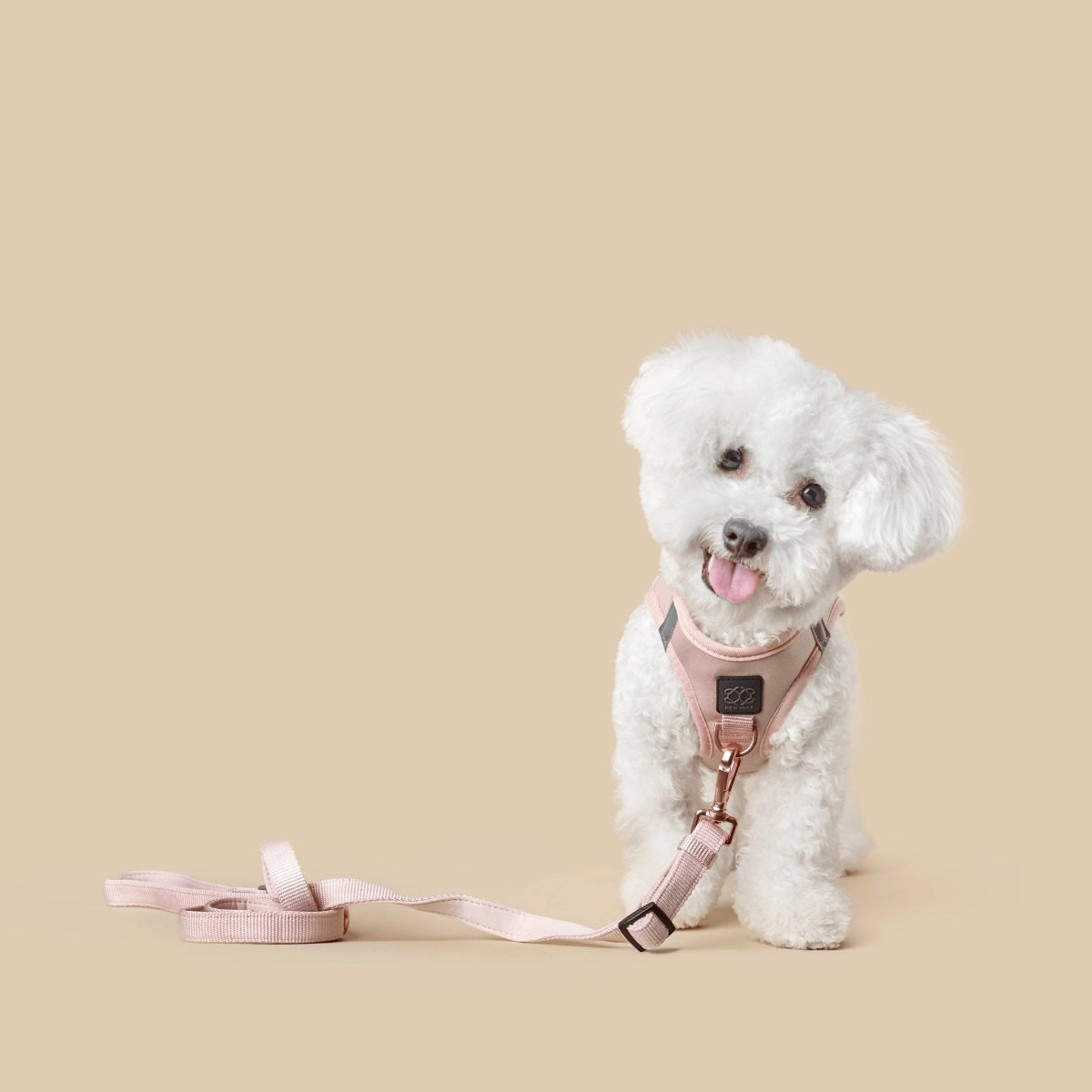 City Dog Leash Blush