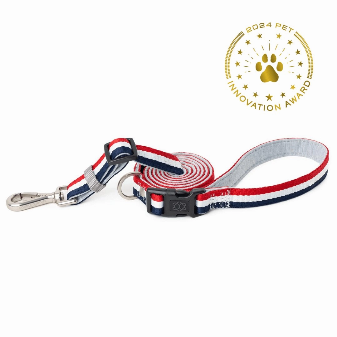 City Dog Leash Champion Grey