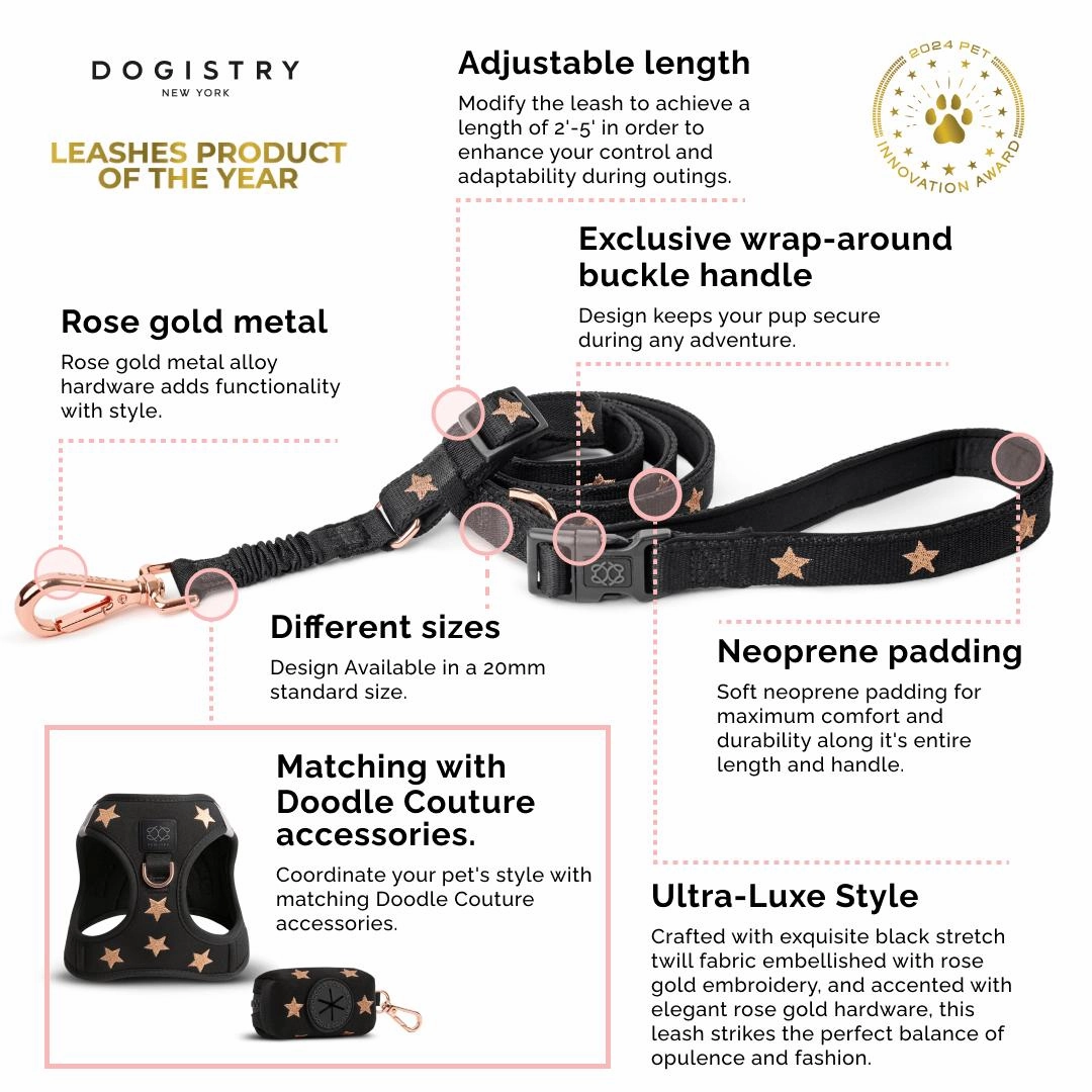 City Dog Leash Steel