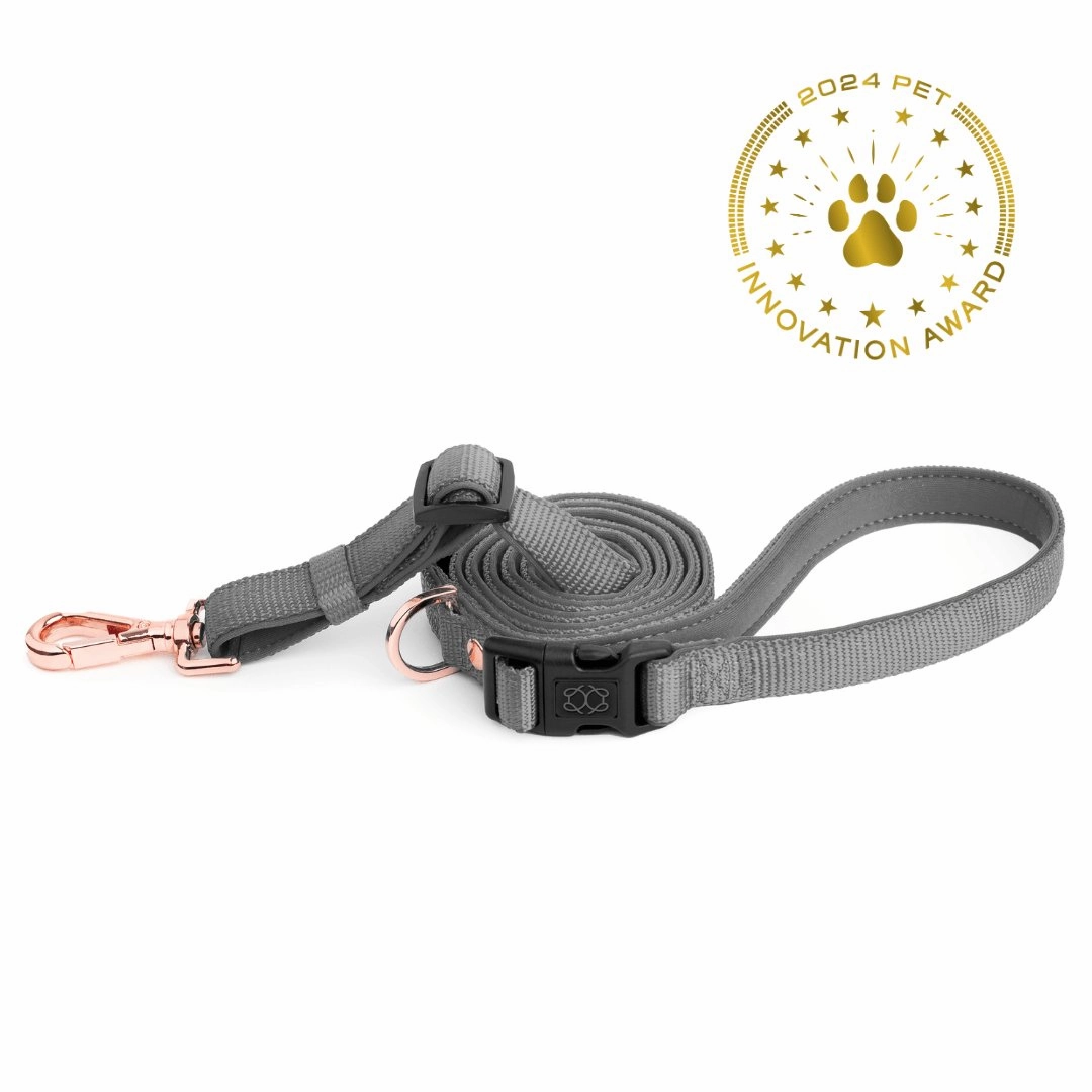 City Dog Leash Steel