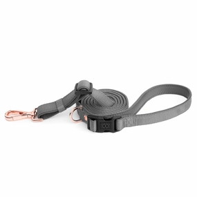 City Dog Leash Steel dog mixer,pet meal booster