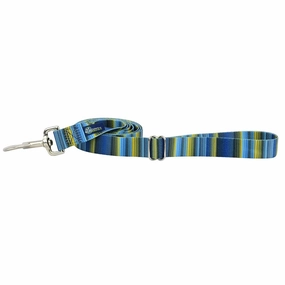 Clyde EarthStyle Dog Leash dog mobility,outdoor pet aid