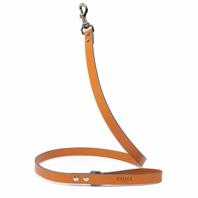 Cobalt Dog Leash dog mobility,outdoor pet aid