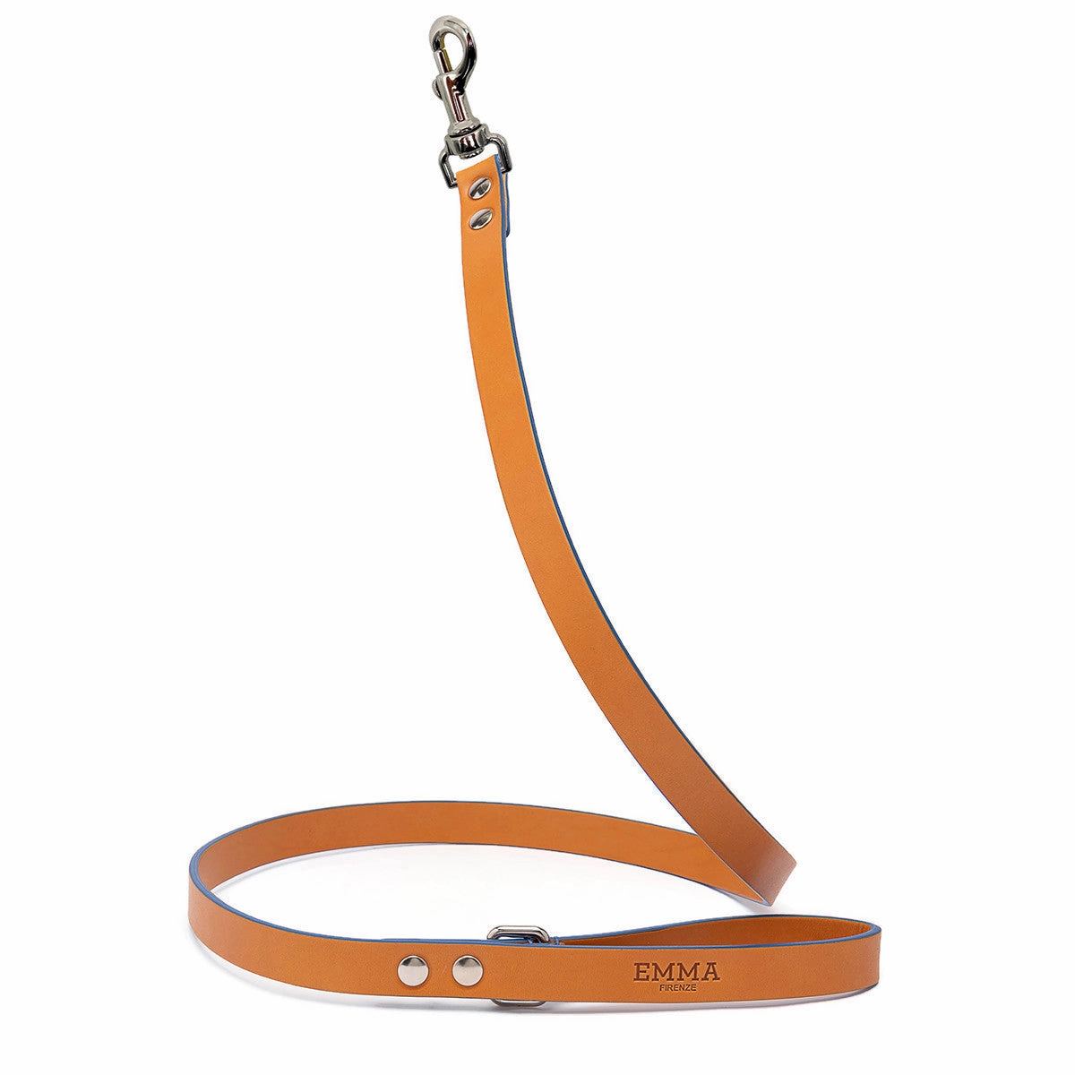 Cobalt Dog Leash dog mobility,outdoor pet aid