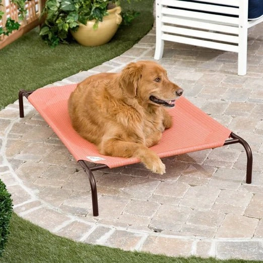 Coolaroo Elevated Knitted Fabric Cat & Dog Bed (Aquatic Blue)