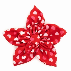 Cupid Dog Collar Flower dog collar accessory,collar decor