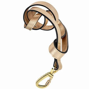 Daisy Collection Dog Leash Metallic Gold