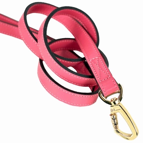 Daisy Collection Dog Leash Petal Pink/Gold