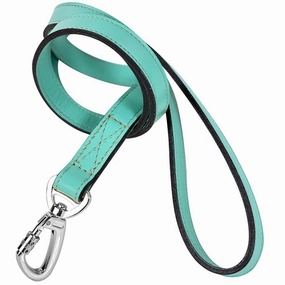 Daisy Collection Dog Leash Turquoise/Nickel dog mobility,outdoor pet aid