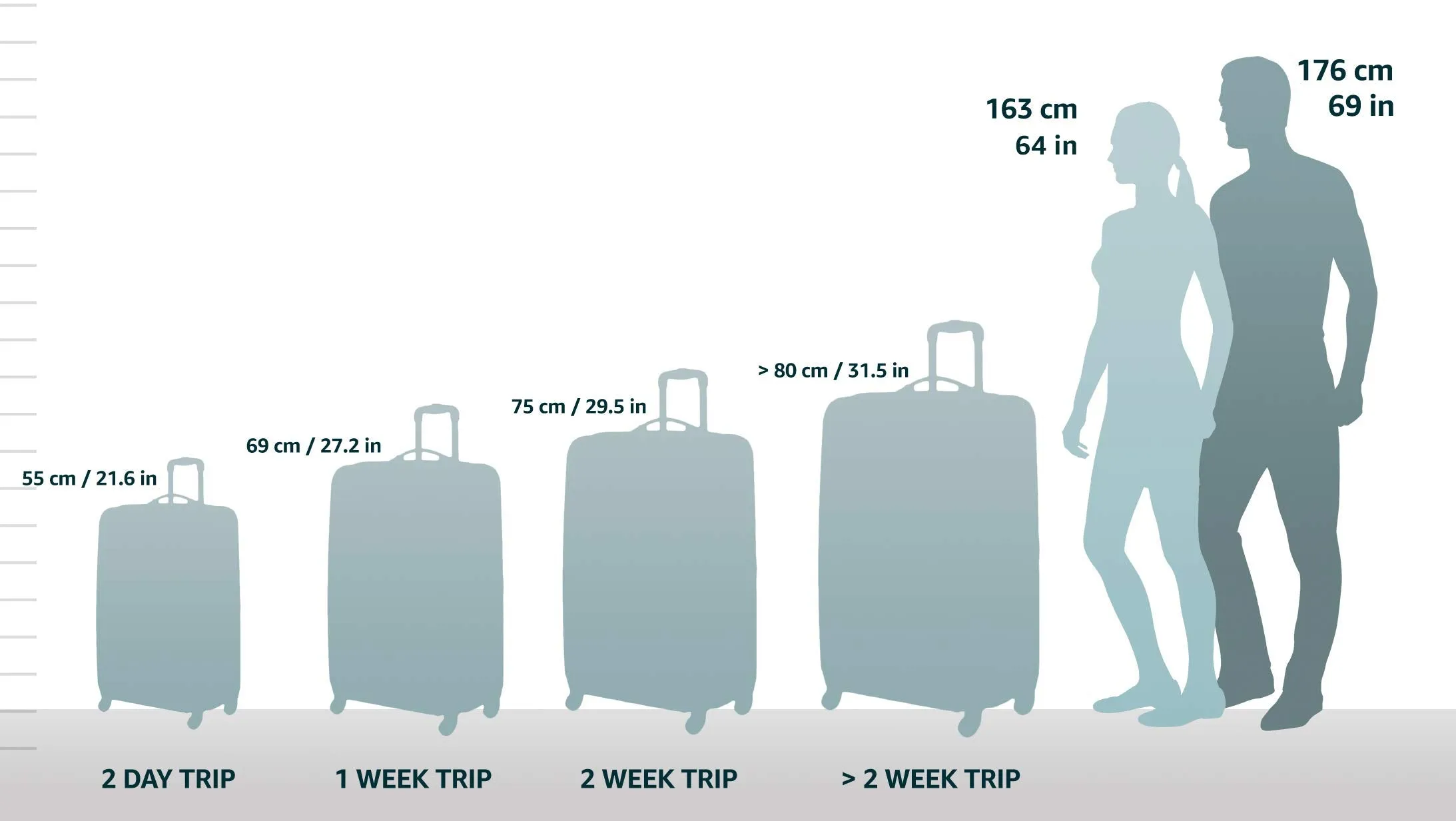 DELSEY Paris Helium Titanium 29" 4-Wheel Large Luggage Bags Delsey-Paris