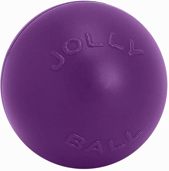 digPETS Push-n-Play 14" Ball - Purple fetch toy,dog ball
