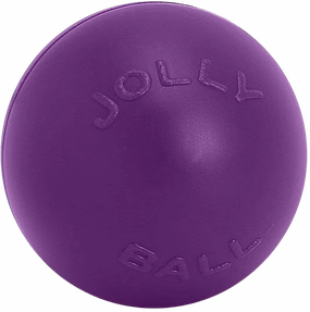 digPETS Push-n-Play 14" Ball - Purple fetch toy,dog ball