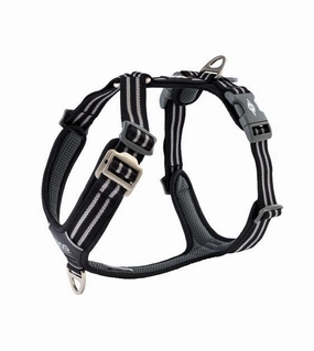 DOG Copenhagen Comfort Walk Air Harness (Black) dog joint care,hip support