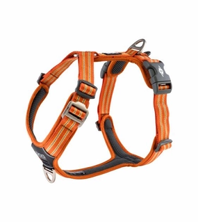 DOG Copenhagen Comfort Walk Air Harness (Orange Sun) dog joint care,hip support