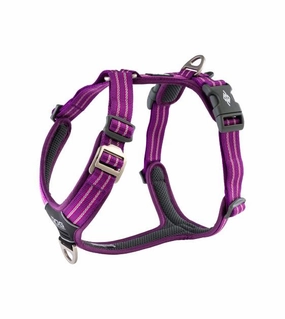 DOG Copenhagen Comfort Walk Air Harness (Purple Passion) dog joint care,hip support