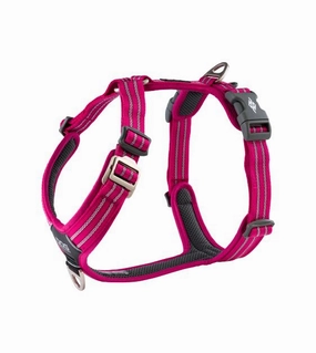 DOG Copenhagen Comfort Walk Air Harness (Wild Rose) dog joint care,hip support