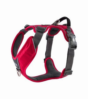 DOG Copenhagen Comfort Walk Pro Harness (Classic Red) dog joint care,hip support
