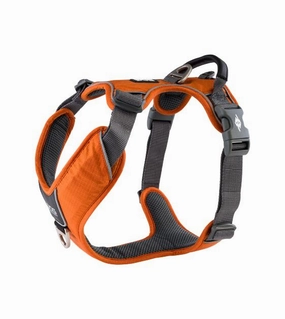 DOG Copenhagen Comfort Walk Pro Harness (Orange Sun) dog joint care,hip support