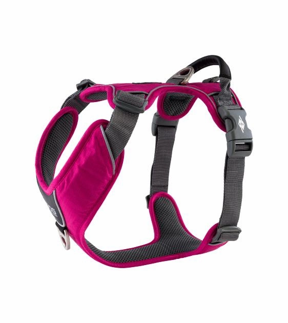 DOG Copenhagen Comfort Walk Pro Harness (Wild Rose) dog joint care,hip support
