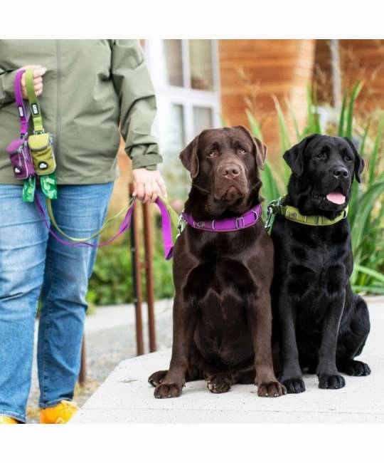 DOG Copenhagen Urban Trail Dog Leash (Hunting Green)