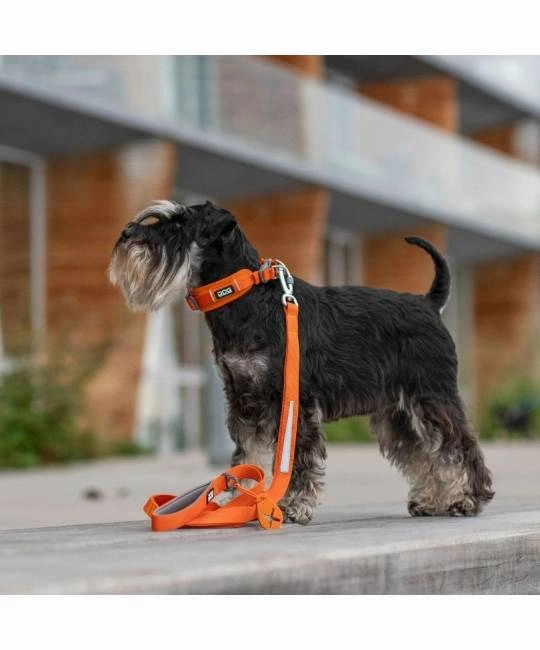 DOG Copenhagen Urban Trail Dog Leash (Ocean Blue)