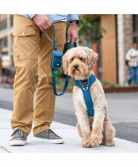 DOG Copenhagen Urban Trail Dog Leash (Ocean Blue)
