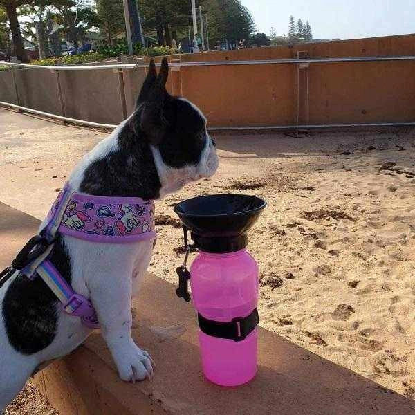 Dog Travel Water Squeeze Bottle 500ml