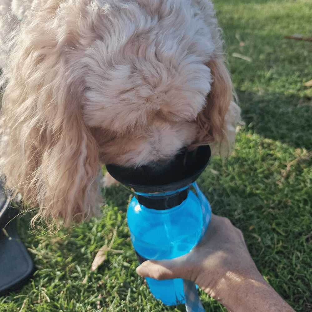 Dog Travel Water Squeeze Bottle 500ml