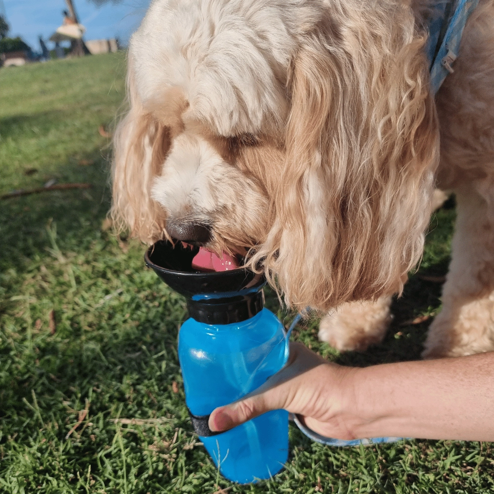 Dog Travel Water Squeeze Bottle 500ml