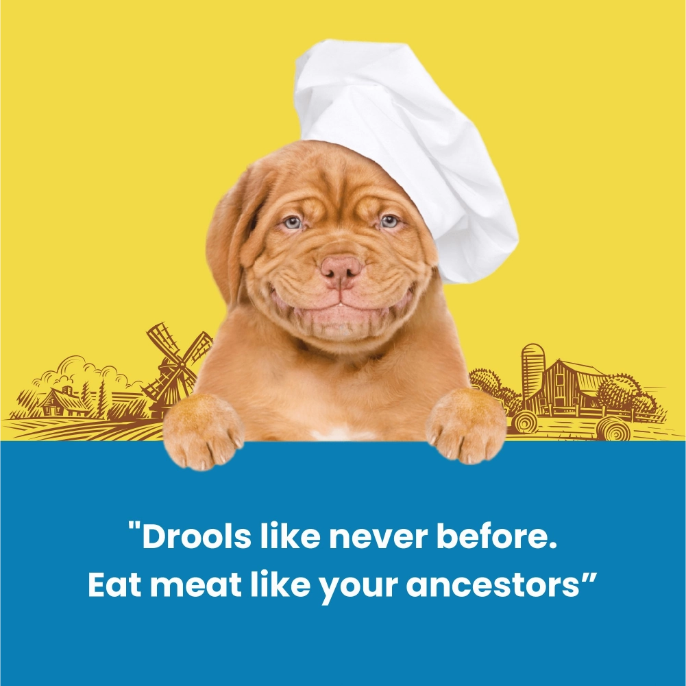 Dogfest Lamb Meat Sticks Dog Treats