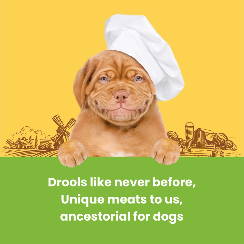 Dogfest Turkey & Flax Seeds Training Dog Treats