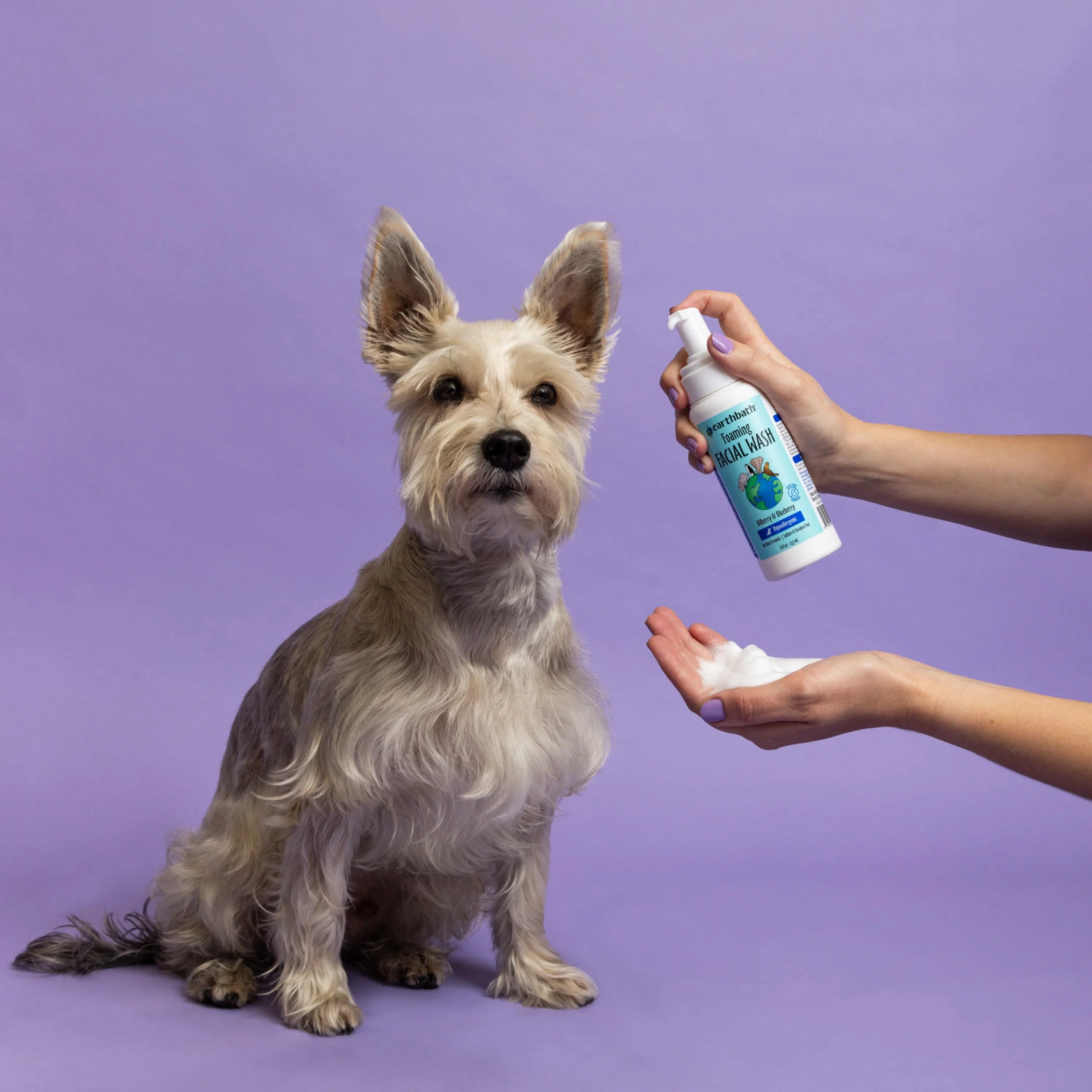 Earthbath Hypoalergenic Foaming Facial Wash (Bilberry & Blueberry) for Dogs and Cats