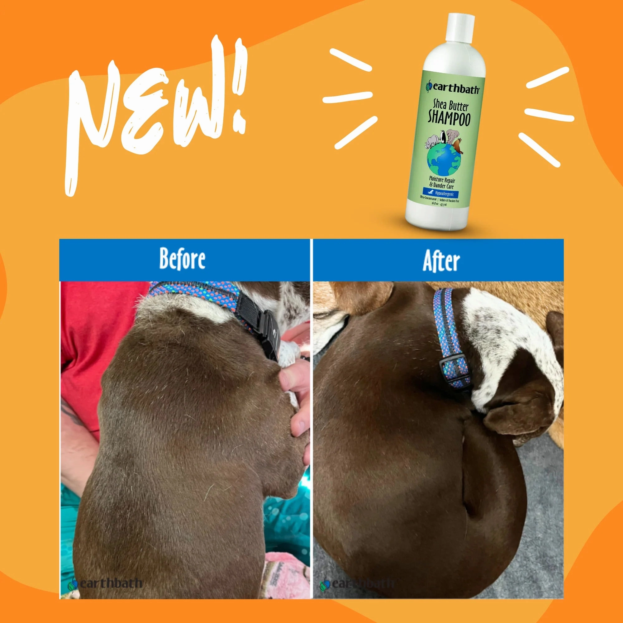 Earthbath Hypoallergenic Shea Butter Shampoo (Moisture Repair & Dander Care) for Dogs and Cats