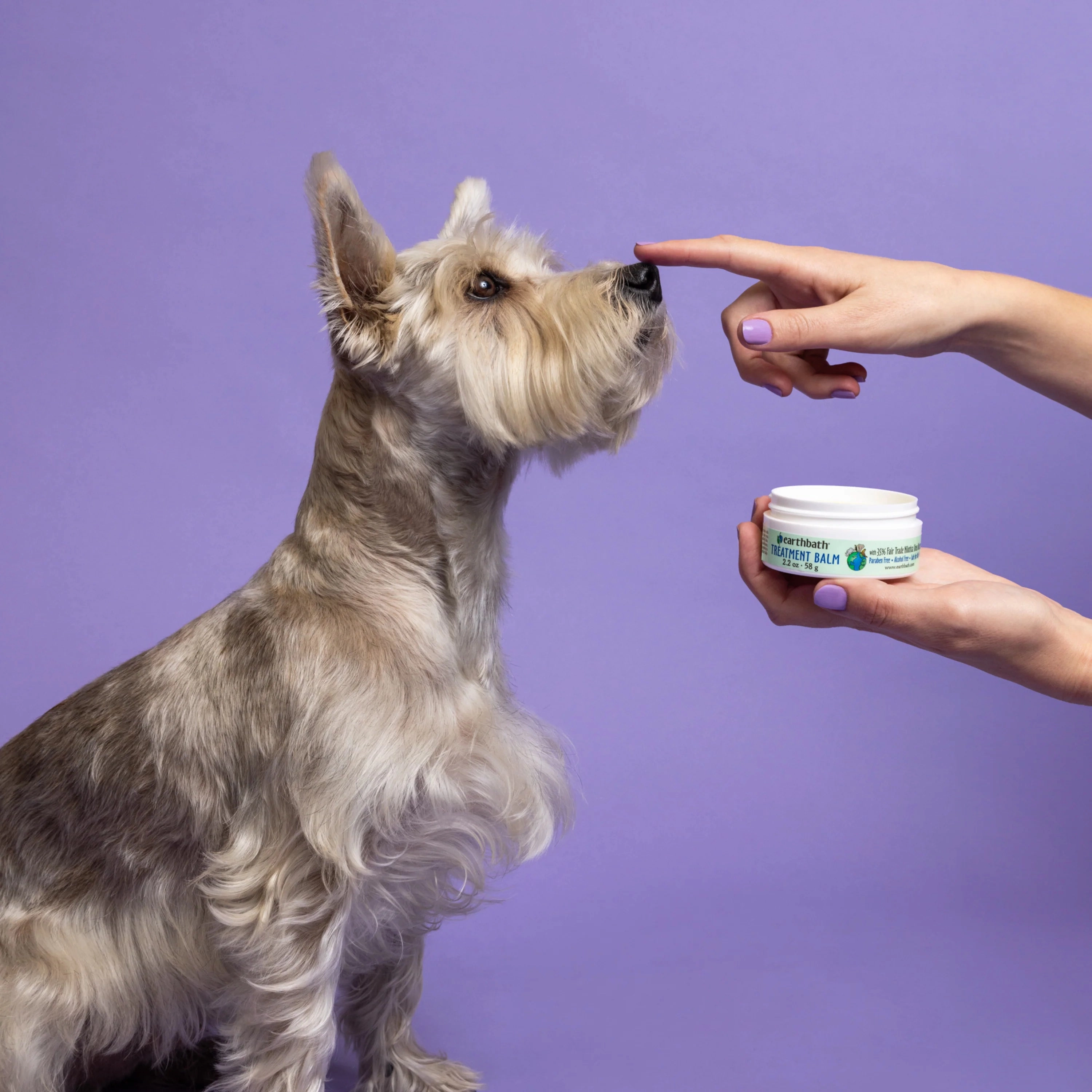 Earthbath Treatment Balm (For Cracked Paws, Noses & Hot Spots)