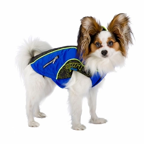 EQUIPE dog harness,training harness