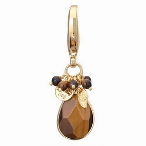 Faceted Dog Collar Charm Tiger Eye