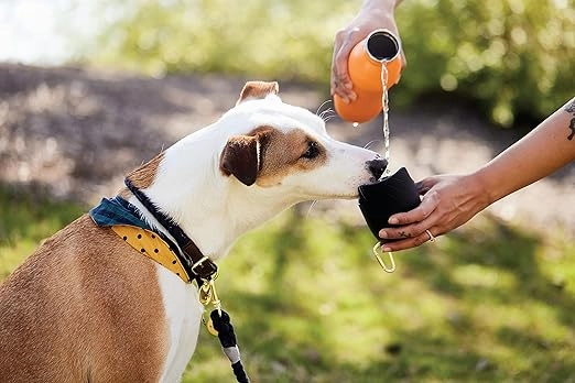 Field and Wander 2-in-1 Stainless Steel Travel Bottle For Dogs & Cats (With Bowl & Carabiner)