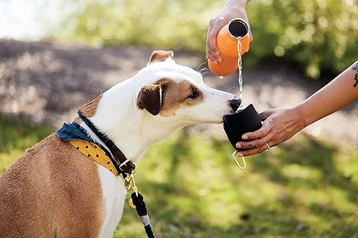 Field and Wander 2-in-1 Stainless Steel Travel Bottle For Dogs & Cats (With Bowl & Carabiner)
