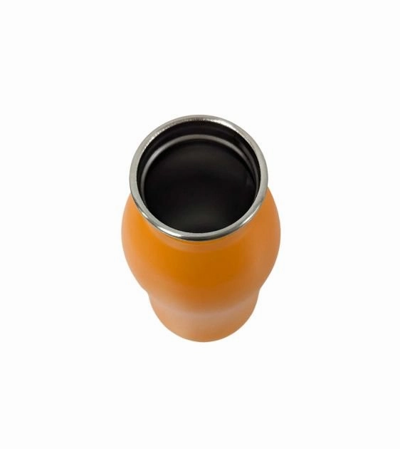 Field and Wander 2-in-1 Stainless Steel Travel Bottle For Dogs & Cats (With Bowl & Carabiner)