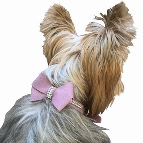 First Place Bow Dog Collar Slider Rosewood
