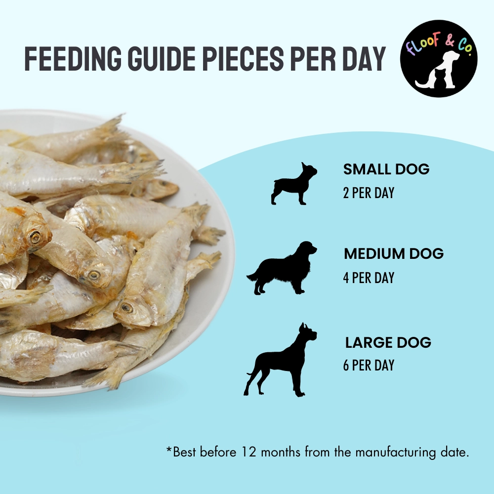 Floof & Co Roasted Lamb, Smoked Chicken and Snappy Sardine Dog Treats Combo