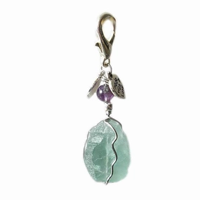 Fluorite Healing Dog Collar Charm Pawmulet