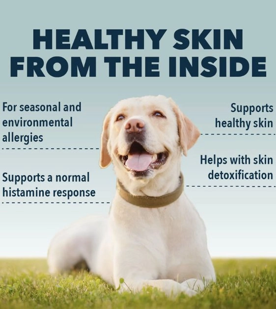 Four Leaf Rover (HARMONY) Seasonal Allergy Support Dog Supplements