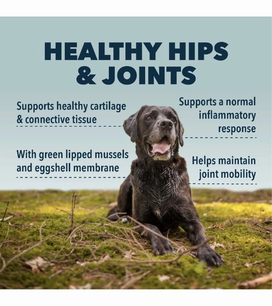 Four Leaf Rover Hip & Joint Natural Joint Support Dog Supplements
